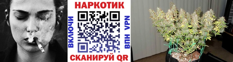 Все наркотики Шахунья СК блэк спрут зеркало Амфетамин Бошки Шишки Меф КОКАИН