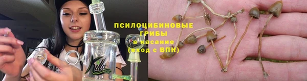 прущие крисы Куйбышев
