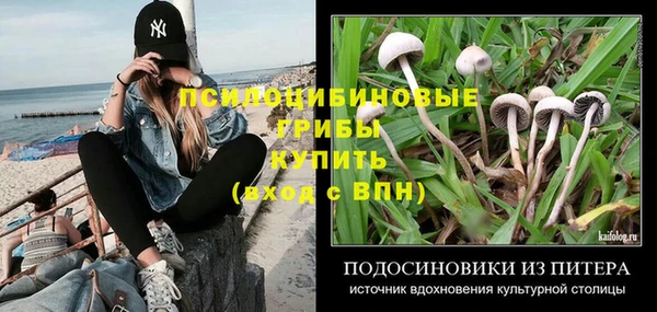 spice Братск