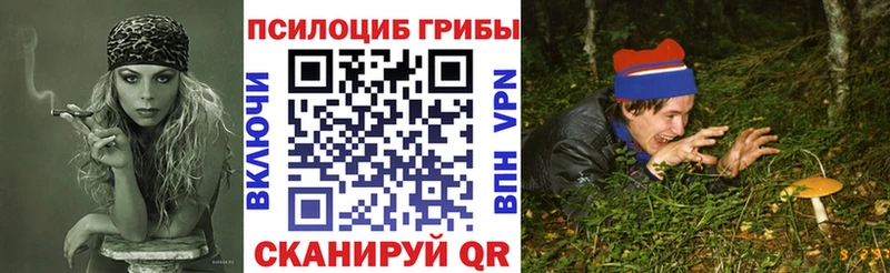 Галлюциногенные грибы мицелий  Шахунья 